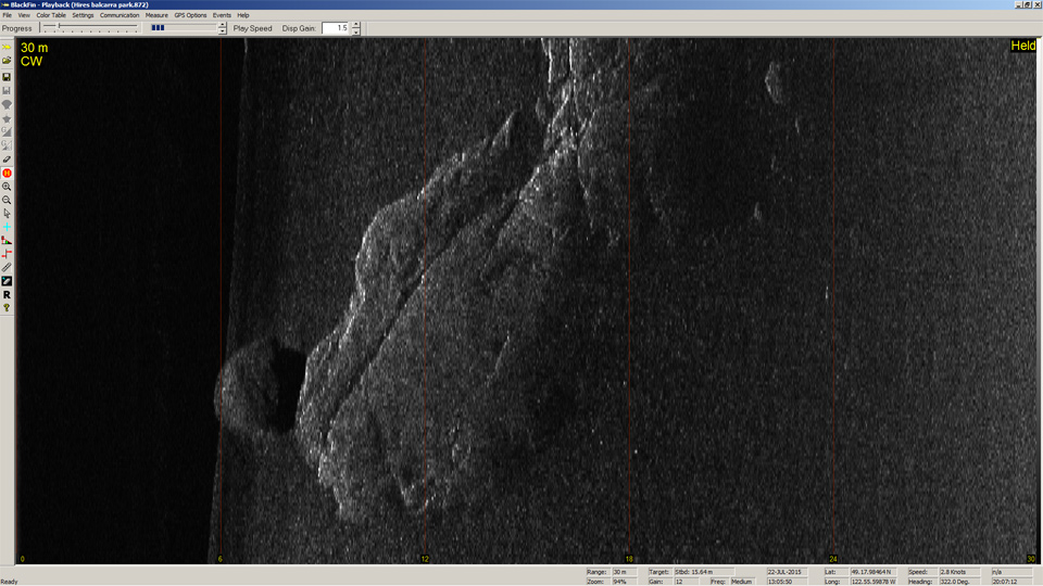 BlackFin image of glacial rock
