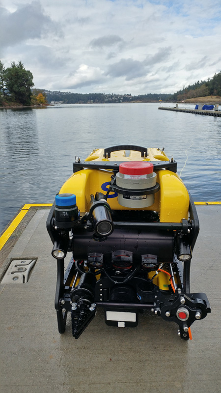 Courtesy of Seamor Marine